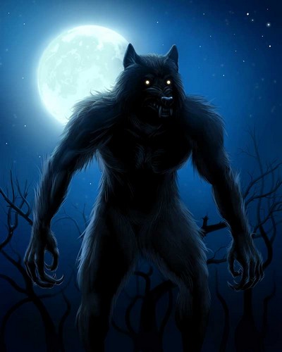 Paranormal: une équipe d'enquêteurs pensent avoir vu un loup-garou